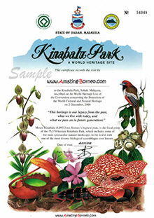 Kinabalu Park Visitation Certificate