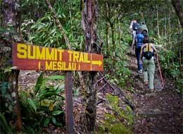 Climbing Mount Kinabalu in Poring Hot Spring