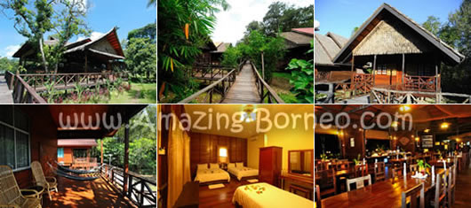 Bilit Rainforest Lodge
